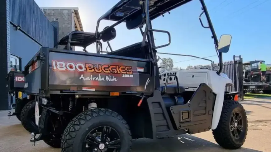 Why Hiring a Buggy Saves More on Short-Term Projects