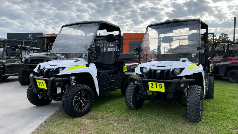 5 Reasons You Should Rent an Electric Buggy