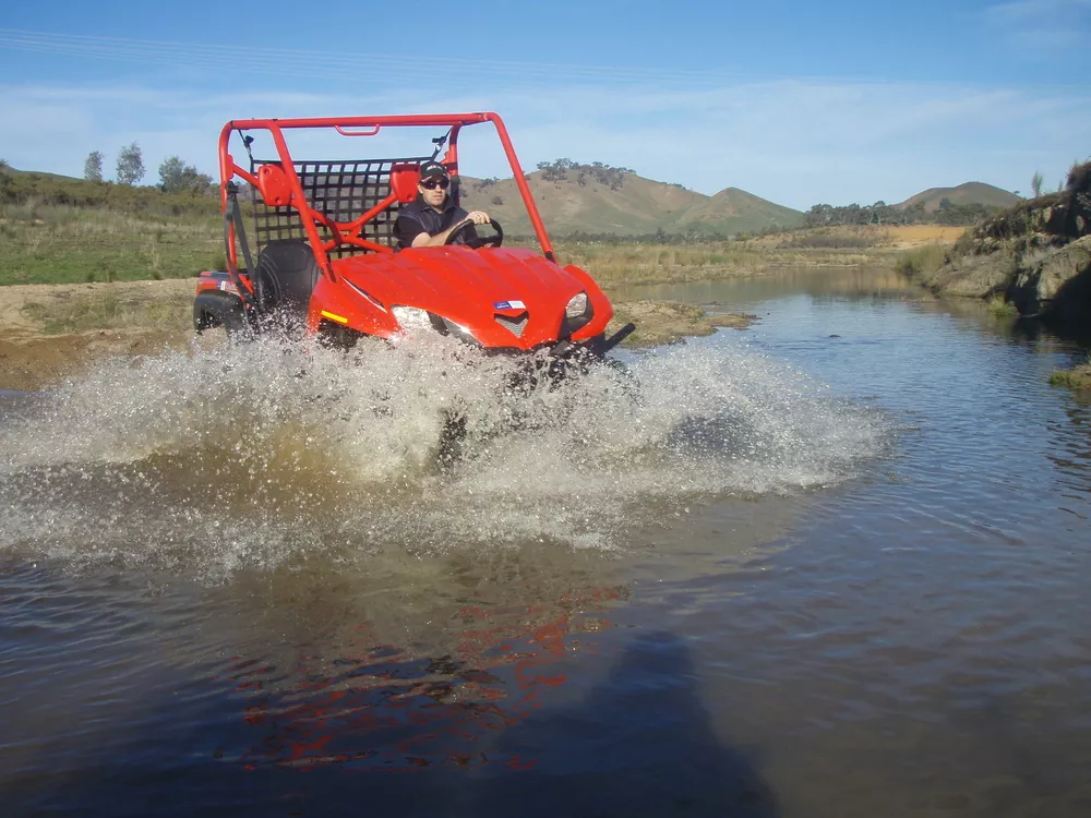 buggies-3