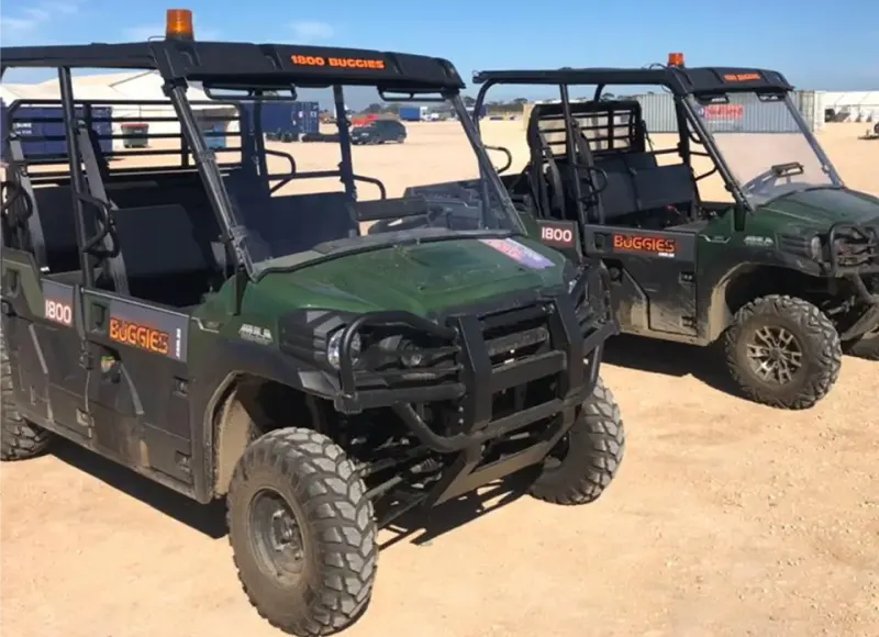 electric buggies