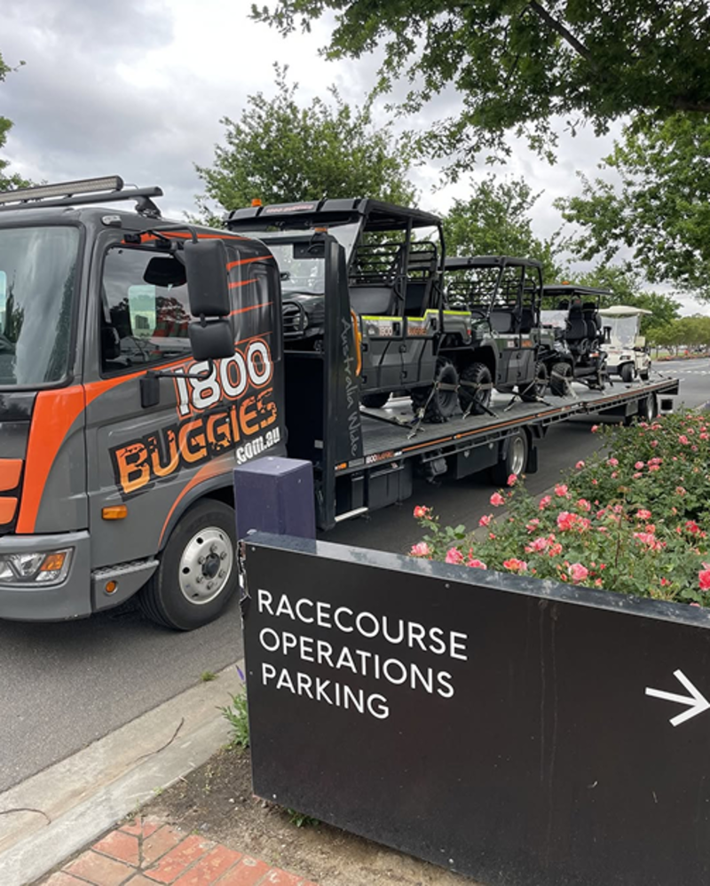 1800BUGGIES
