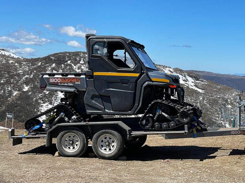 electric buggies